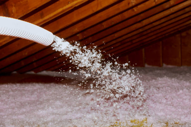 Best Insulation Contractors for Homes  in Clyde, OH