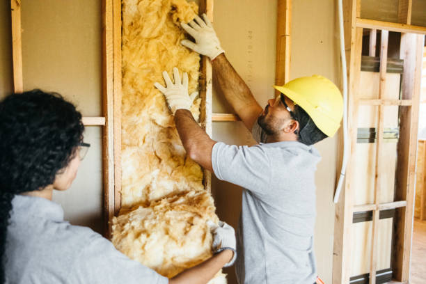 Insulation Replacement Services in Clyde, OH