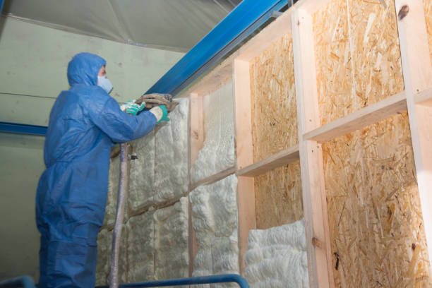 Best Attic Insulation Installation  in Clyde, OH