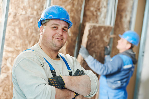 Best Home Insulation Services  in Clyde, OH