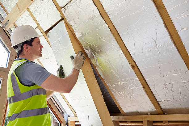 Best Professional Insulation Contractor  in Clyde, OH