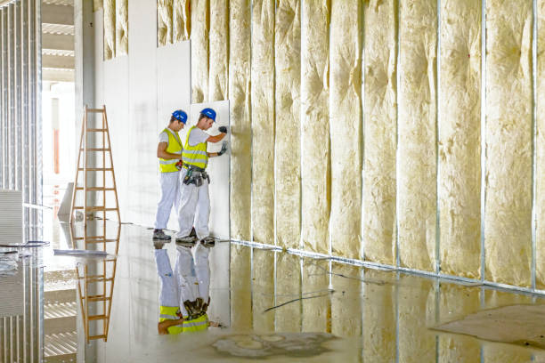 Best Insulation Replacement Services  in Clyde, OH